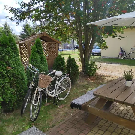 Homestay Lavenda